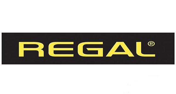 Pendik Regal Klima Servisi